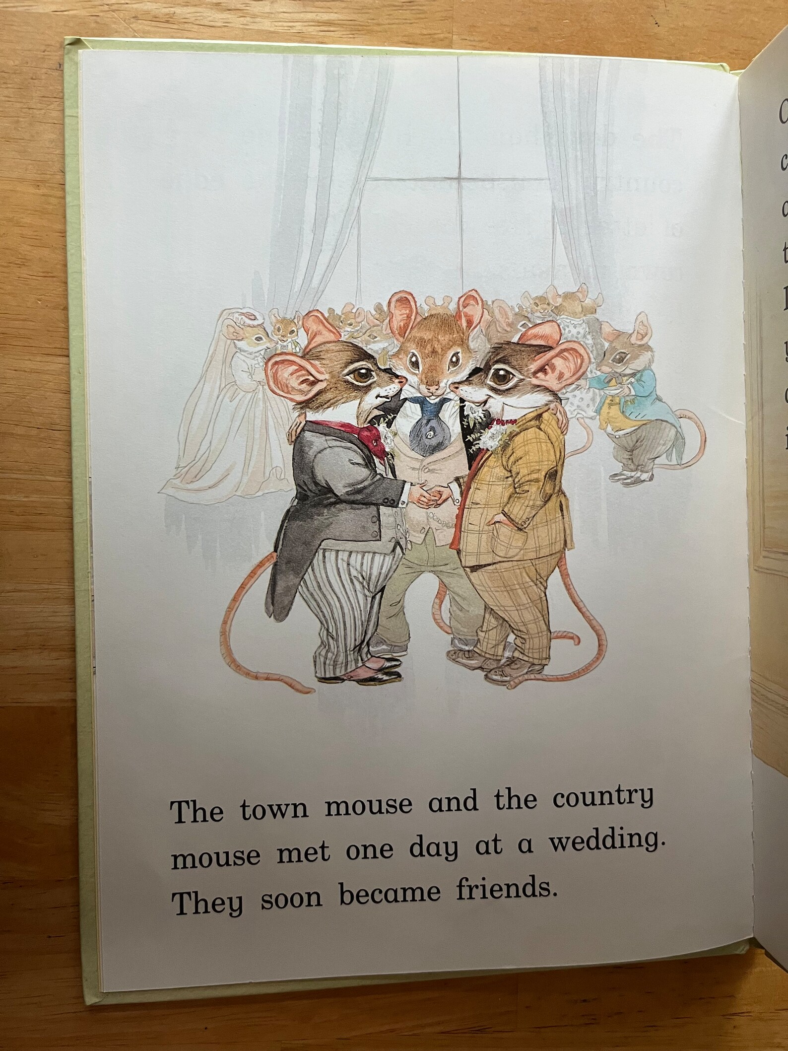 Town Mouse and Country Mouse (large Type for First Readers, Hardcover ...