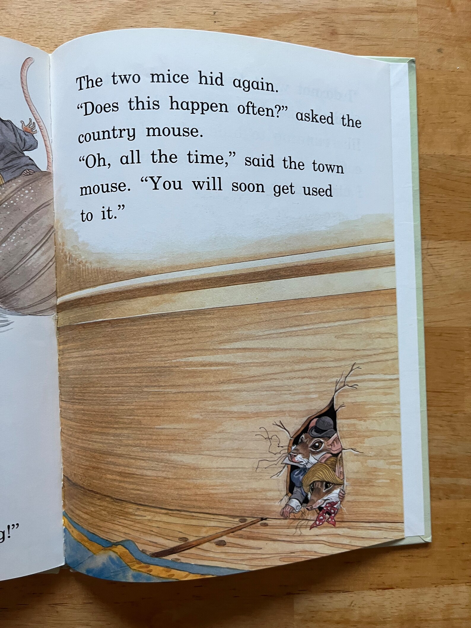 Town Mouse and Country Mouse (large Type for First Readers, Hardcover ...