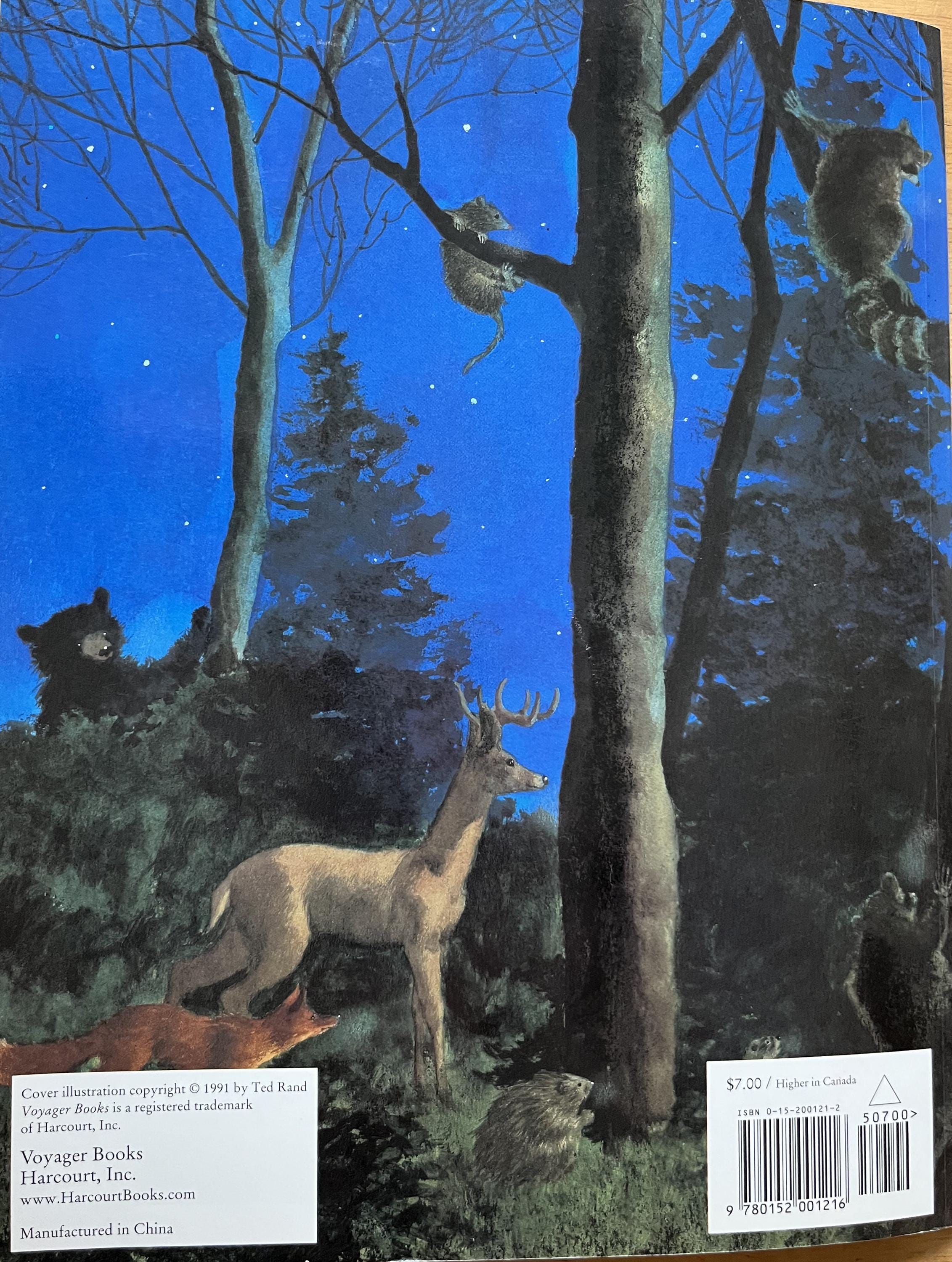 洋書 THE HORNBEAM TREE Ted Rand絵本 Night Tree by Eve Bunting, Illustrated by Ted Rand (paperback) - Etsy