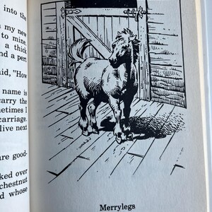 Op de afbeelding: Zwart-wit illustratie van een pony voor een houten staldeur. De pony staat naar rechts, met zijn hoofd iets naar de kijker gedraaid. De tekst "Merrylegs" staat onder de afbeelding.