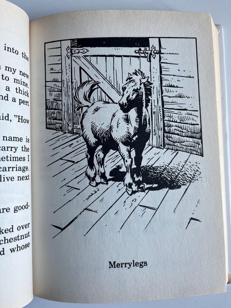 Op de afbeelding: Zwart-wit illustratie van een pony voor een houten staldeur. De pony staat naar rechts, met zijn hoofd iets naar de kijker gedraaid. De tekst "Merrylegs" staat onder de afbeelding.