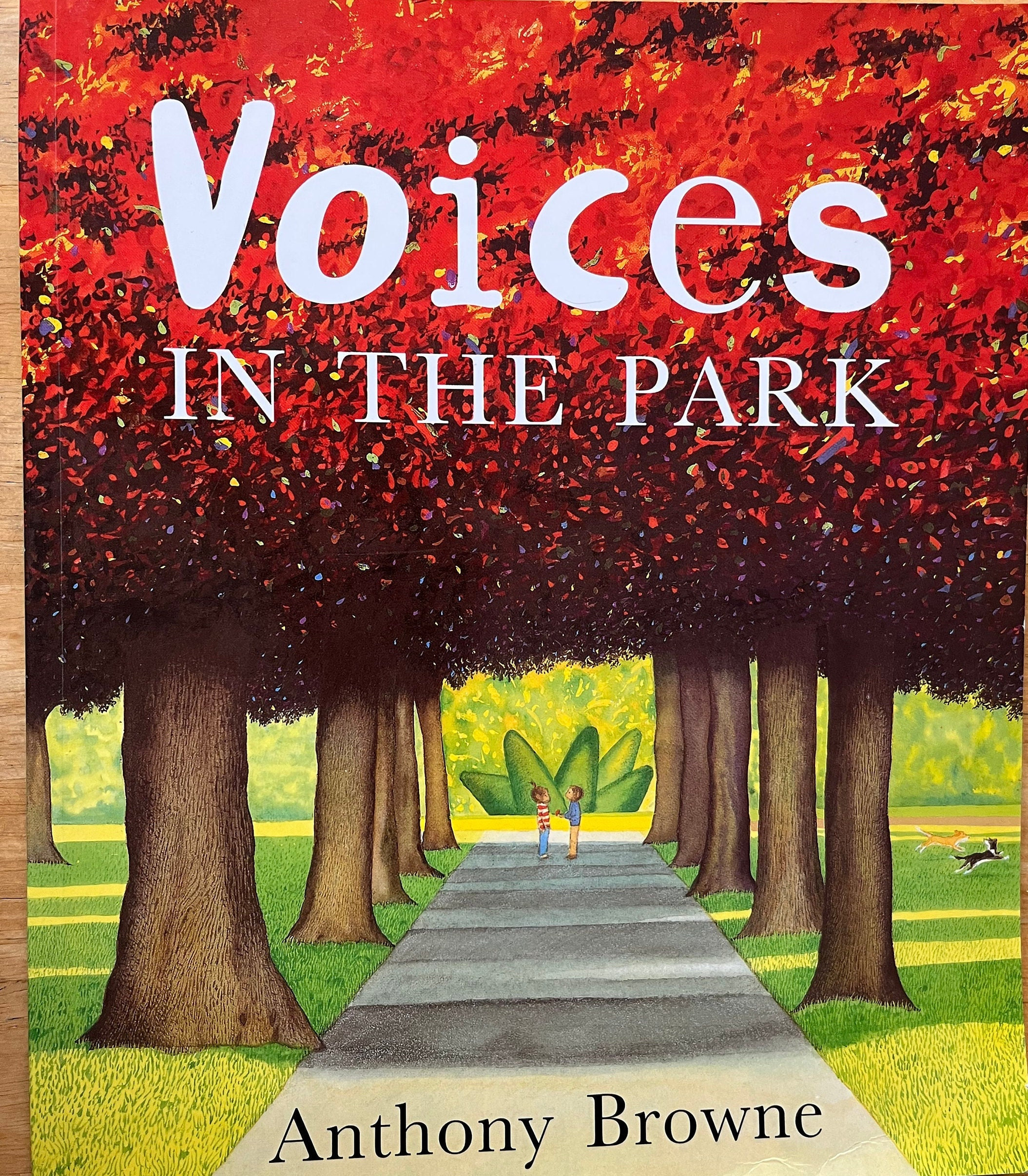 Voices in the Park by Anthony Browne (paperback) - Etsy