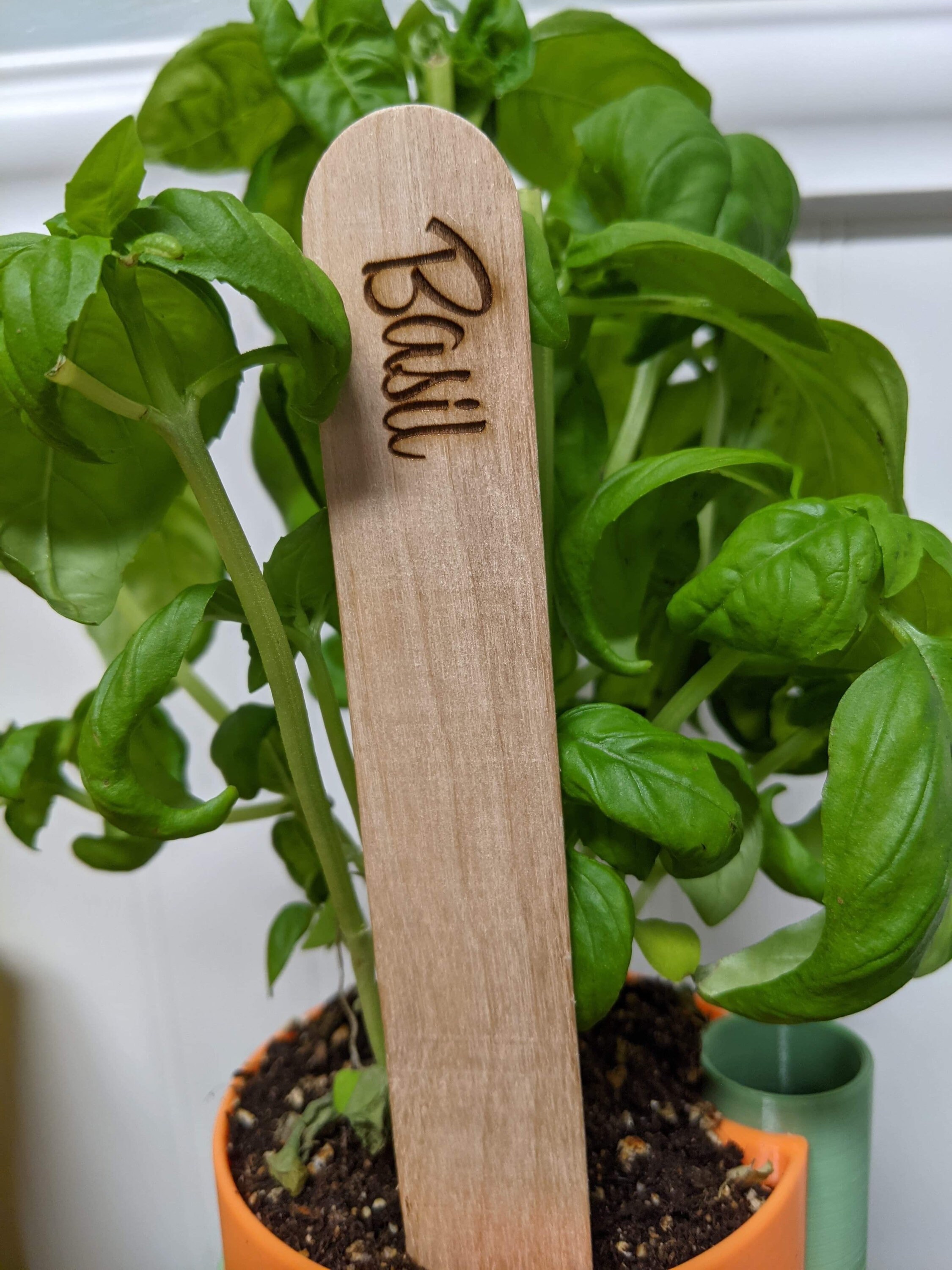 Plant Markers Etsy
