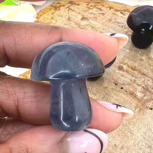 Rainbow Fluorite Mushroom - Fluorite Mushroom - 1.2&quot; Natural Fluorite Mushroom Carving - Rainbow Fluorite Carved Mushroom - Purple Fluorite
