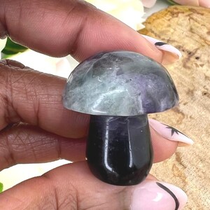 Rainbow Fluorite Mushroom - Fluorite Mushroom - 1.2&quot; Natural Fluorite Mushroom Carving - Rainbow Fluorite Carved Mushroom - Galaxy Fluorite