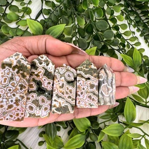 May include: Five polished, pointed, green, pink, and white,  leopard skin jasper crystal wands.
