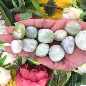 Serpentine Tumble Stone - Tumbled Serpentine Stone - Serpentine Tumbled Stone - Polished Serpentine Pebble Pocket Polished Palm Tumble