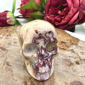Crazy lace agate skull - 2" crazy lace agate crystal skull - natural mexican agate skull - crazy lace agate carved crystal skull