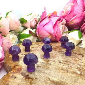 Amethyst mini crystal mushroom - fairy crystal mushroom - 20mm amethyst mushroom carving - mushroom gemstone - mini amethyst mushroom mushie