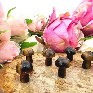 Tiger&#39;s eye mini crystal mushroom - fairy crystal mushroom - 20mm tiger&#39;s eye mushroom - tiger eye mushroom gemstone - mini mushroom mushie