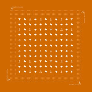 Texas Bandana