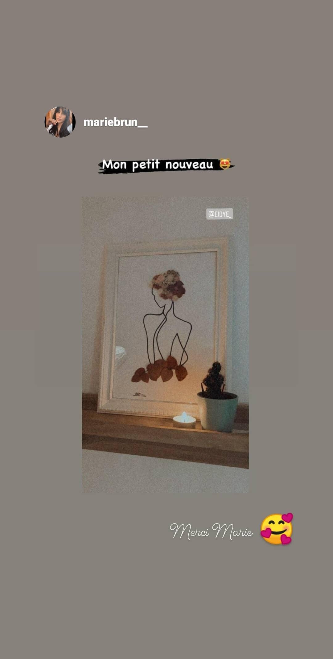 Fleurs Séchées - Tableau Herbier Lise 30x20cm