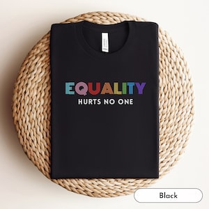 Equality Shirt, LGBTQ Shirt, Asexual, LGBT, Lesbian, Bisexual Gifts, Pride Shirt, Queer Owned Shops, Subtle Pride, Bisexual, Pride, Trans