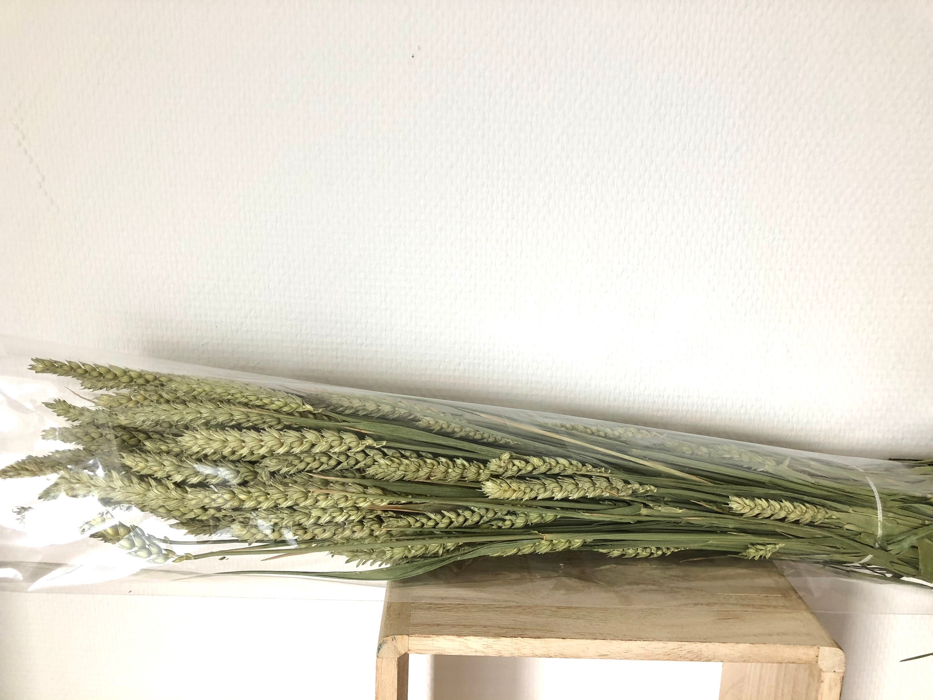 Bouquet Botte de Blé Naturelle France Environs 60cm - Décoration Florale