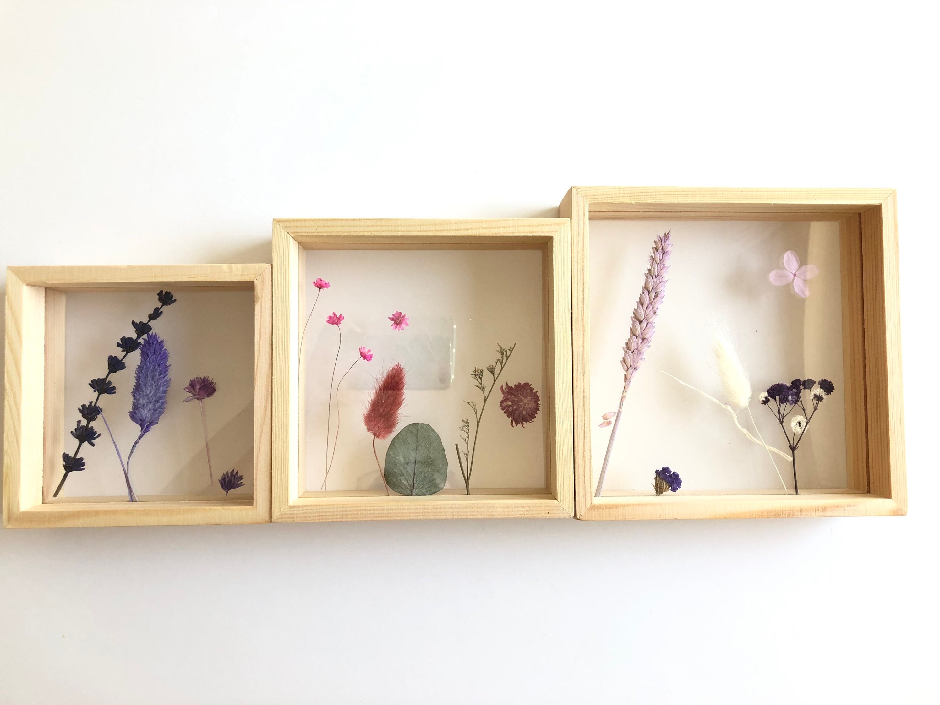 Cadres en Bois Remplies de Fleurs Séchées France - Décoration Murale Naturel Intérieure Cadeau Fête 