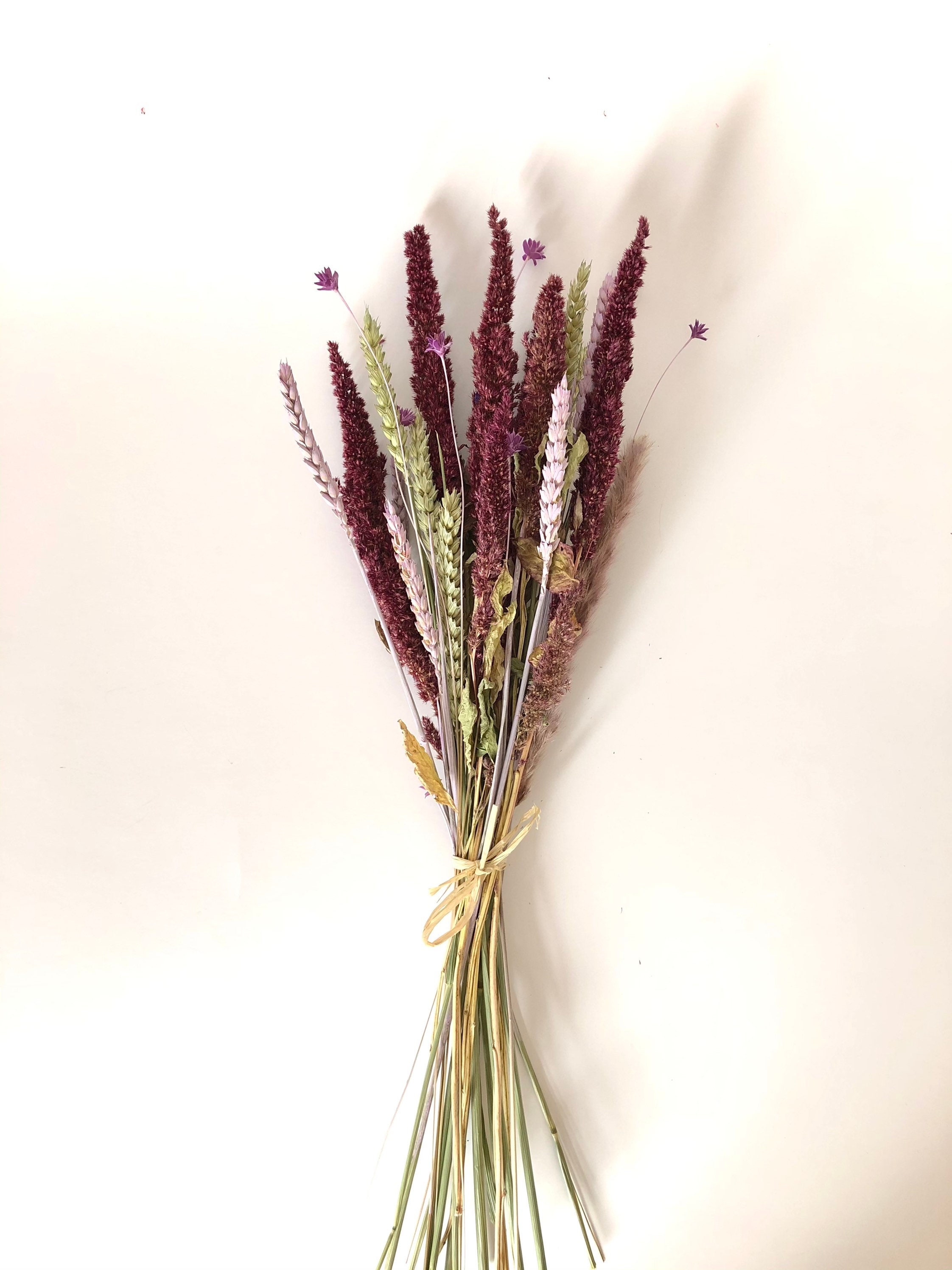 Violine - Bouquets de Fleurs Séchées France Violet avec Blé, Amarantes Décoration d'intérieur- Cadea