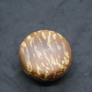 Puede incluir: Objeto redondo de madera con un patrón marrón y beige. El objeto tiene una superficie lisa y pulida y parece ser un elemento decorativo o una pequeña tapa de recipiente. La veta de la madera es visible, lo que se suma a su estética natural.