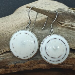 May include: A pair of silver earrings with white seashell accents. The seashells have a spiral pattern and a brown rim.