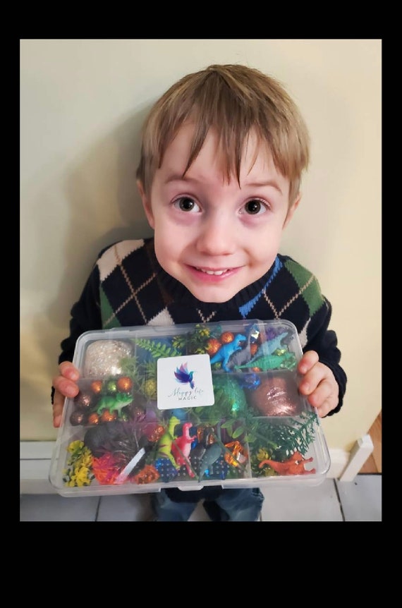 Mid Sized Dinosaur Play Dough Kit, Playdough Kit, Play Dough Kit, Playdoh  Kit, Playdough Sensory Kit, Busy Box, Gift for Boys, Toddler Gift 