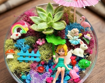 DIY Magic Garden Terrarium Kit with Real Succulent, Fairy Miniature Craft Box, Boy Girl Birthday gift for kids,Flower Garden Figurines Set
