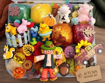 Fall Play Dough kit,Thanksgiving Play Dough set, playdoh,Sensory kit, boy girl Gift,Autumn Sensory Bin, present,activity busy box,birthday