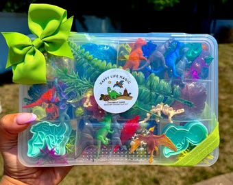 Dinosaur Play Dough Kit, Play Dough kit, Playdough kit,Dinosaur present, play doh kit, Boys birthday gift, Sensory Kit, boys toddler gift