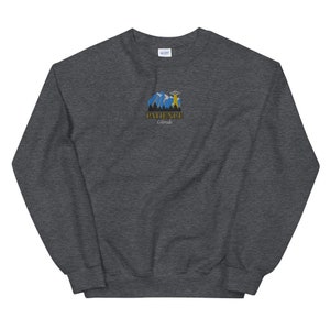 May include: Dark gray sweatshirt with a graphic of a mountain range and a UFO with the text "Patience Colorado" in gold lettering.