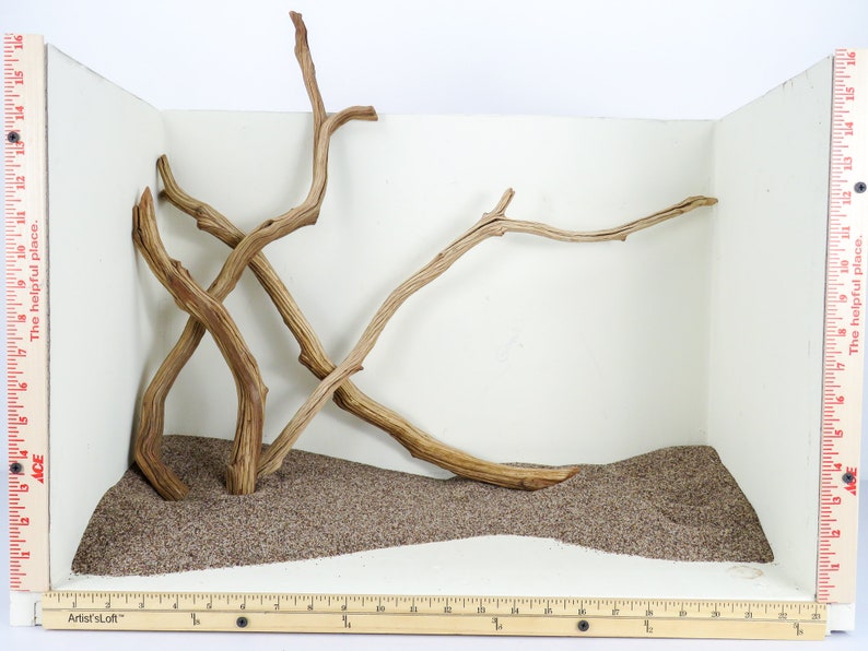 Manzanita Aquarium Driftwood Sticks 5 Pc Set These Long Etsy