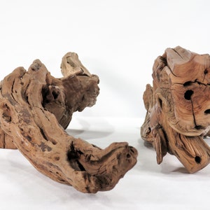 Manzanita Small Log & Root 2 pc set, Great driftwood for aquascaping your tank or terrarium decor image 4