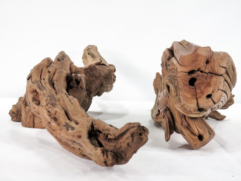 Manzanita Small Log & Root 2 pc set, Great driftwood for aquascaping your tank or terrarium decor image 4