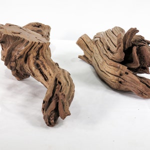 Manzanita Small Log & Root 2 pc set, Great driftwood for aquascaping your tank or terrarium decor image 6