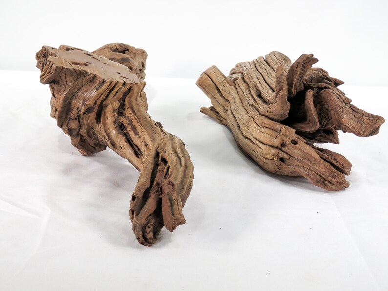 Manzanita Small Log & Root 2 pc set, Great driftwood for aquascaping your tank or terrarium decor image 6