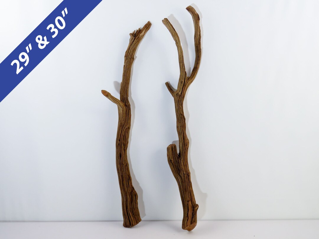 Bearded Dragon Driftwood, 2 Pc Set, Large Aquarium Driftwood, Reptile