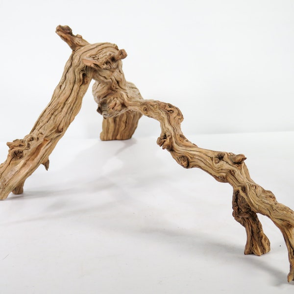 Aquarium Driftwood Large Etsy
