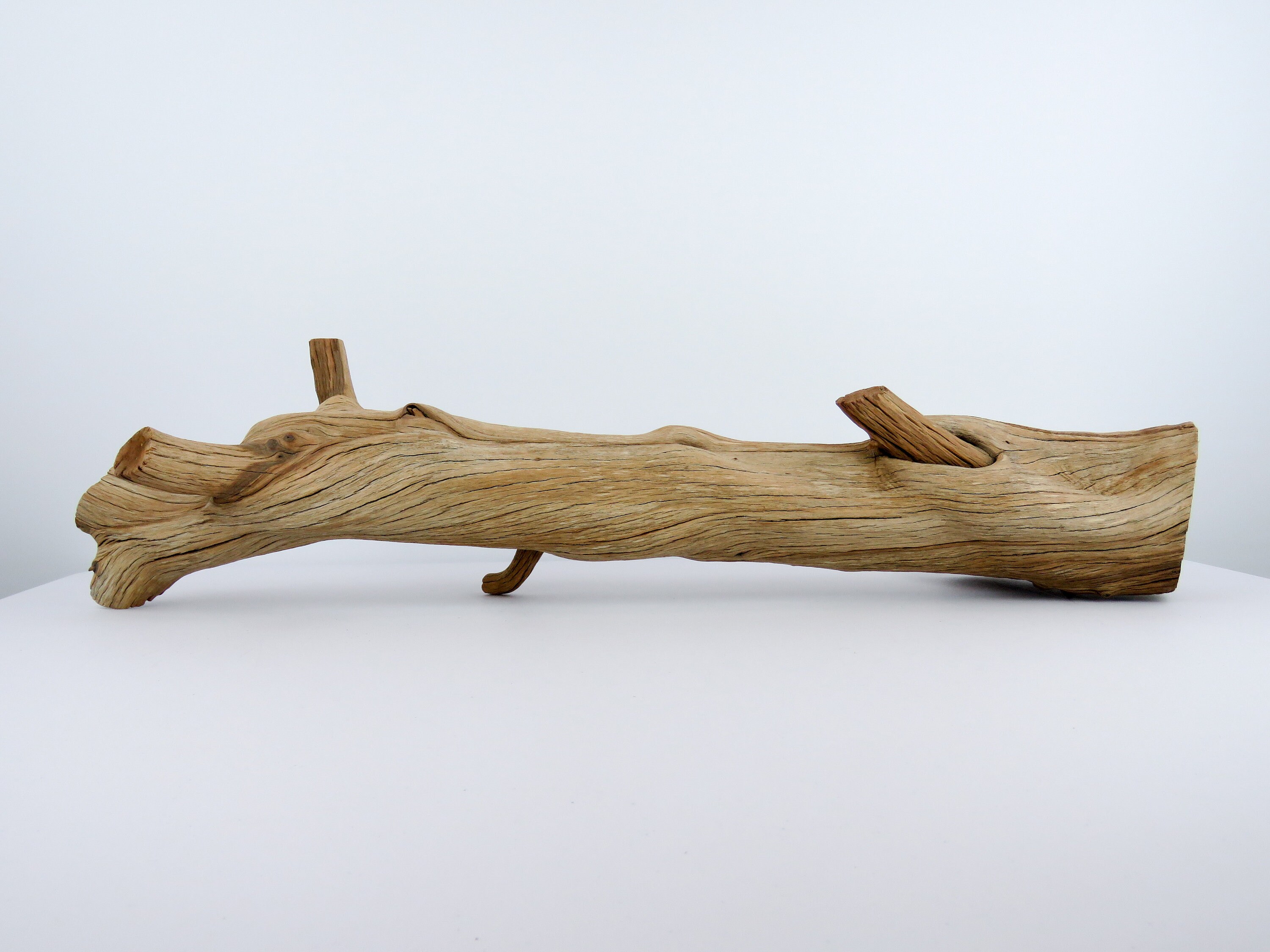 Reptile Wood Log Vivarium Decor Manzanita Branches Fish Etsy