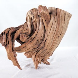 May include: A large, natural driftwood sculpture with a light brown color. The wood has a textured surface with visible grain and knots. The sculpture has an organic, abstract shape, with multiple branches and curves. It stands on three small legs.