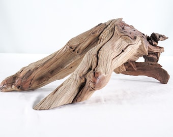 Manzanita Driftwood Branch (19&quot;) Unique decor perfect for terrarium or aquarium,  driftwood art, beach house decor