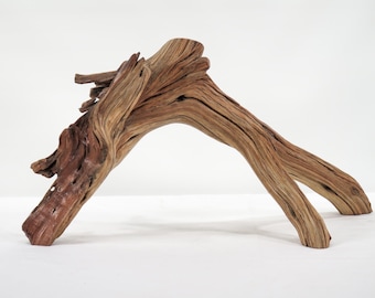Manzanita Driftwood Branch, (14&quot;), Unique decor perfect for terrarium or aquarium,  driftwood art, beach house decor