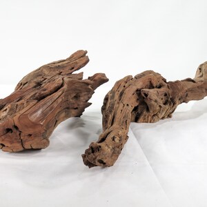 Manzanita Small Log & Root 2 pc set, Great driftwood for aquascaping your tank or terrarium decor image 7