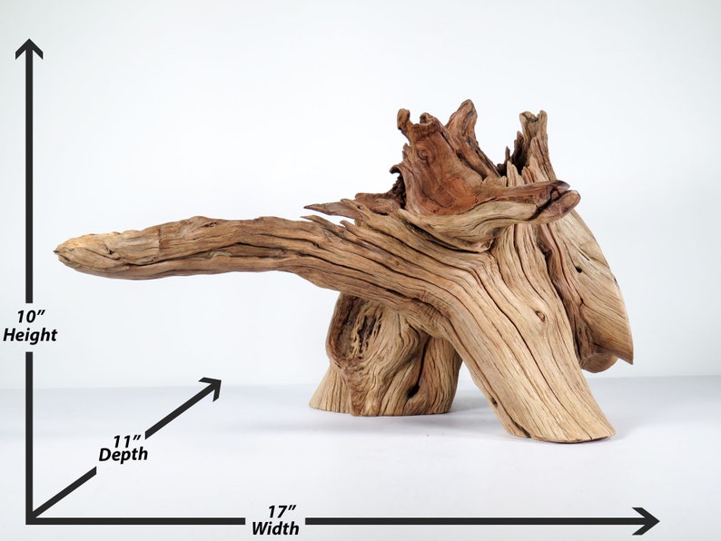 Large Manzanita Stump/root 17 This Centerpiece Driftwood Etsy