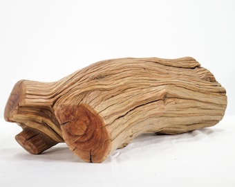 Manzanita Driftwood (13"), cette grosse bûche est parfaite pour les enclos de reptiles, les terrariums, les aquariums ou les projets d'artisanat