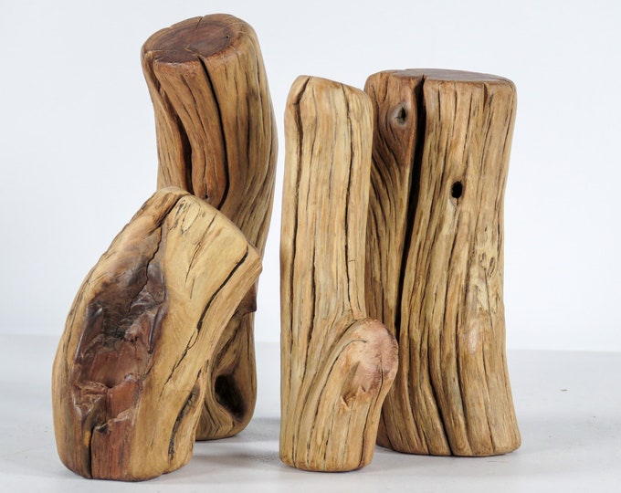 Nano Manzanita Stumps 4 Pc Set, Great Small Size Driftwood for