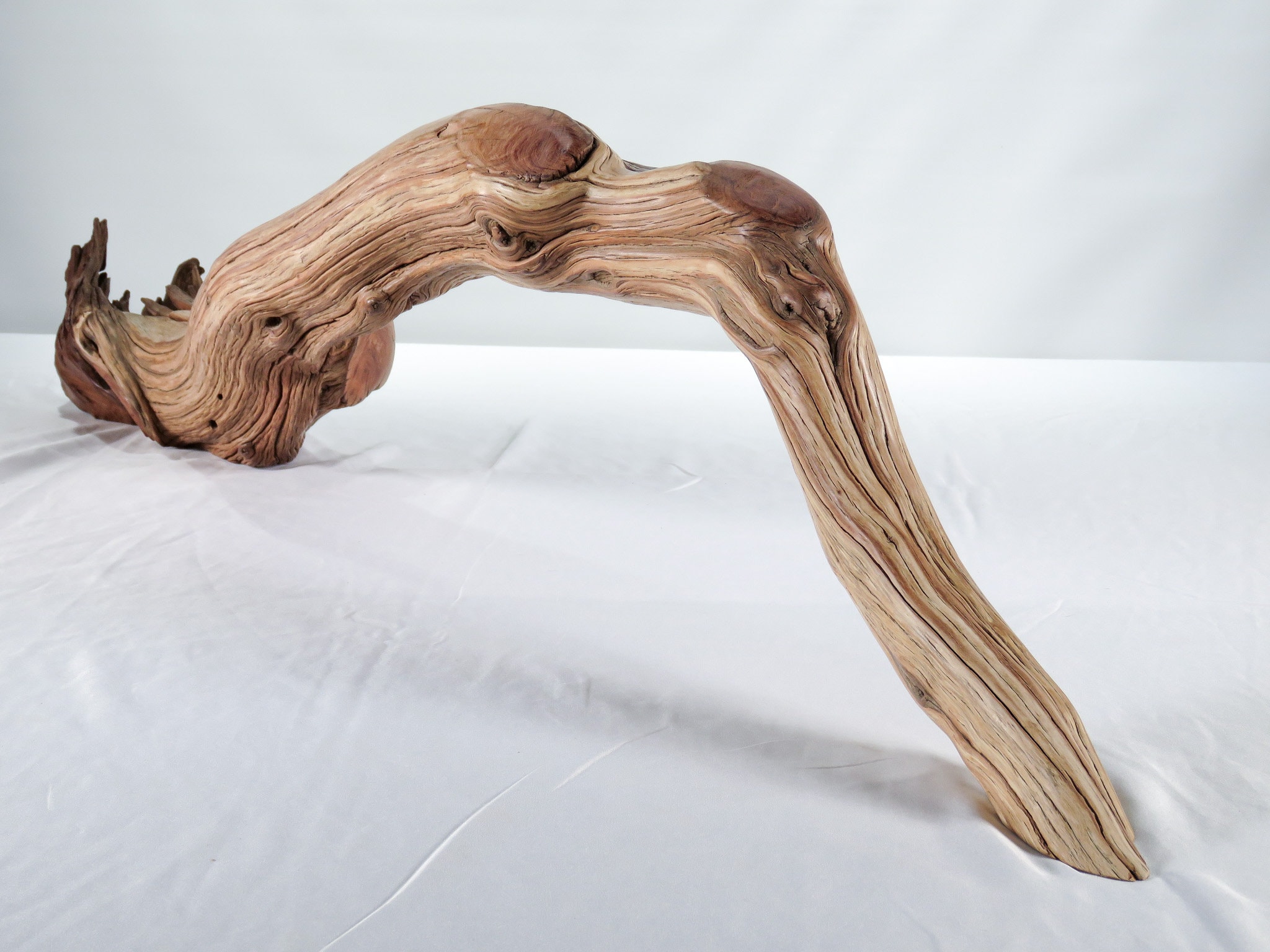 Large Manzanita Driftwood (38“), Unique arched branch for beach house gift nautical or aquascape decor
