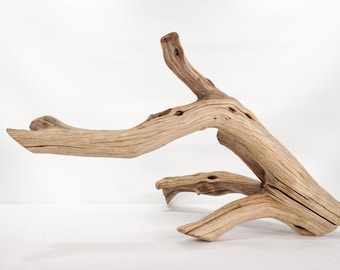 One of a Kind Driftwood Branch (21") Reptile Terrarium, Aquarium Centerpiece, Rare Shape, Ready to Ship