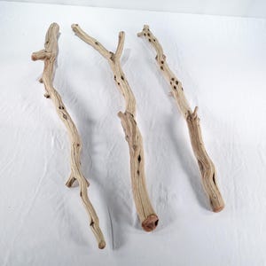 Manzanita Driftwood (3 pc set), These long smooth sticks perfect for reptile enclosures, terrariums, aquarium or craft projects