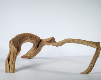 Manzanita Driftwood (24“), Unique, arched, and perfect for beach house gifts, nautical or aquascape decor