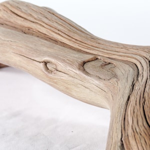 May include: Close-up of a piece of driftwood. The wood is a light brown color with visible grain and knots. The driftwood has a smooth, weathered appearance, suggesting it has been exposed to the elements. The shape is curved and organic.