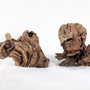 Manzanita Small Log & Root 2 pc set, Great driftwood for aquascaping your tank or terrarium decor image 5