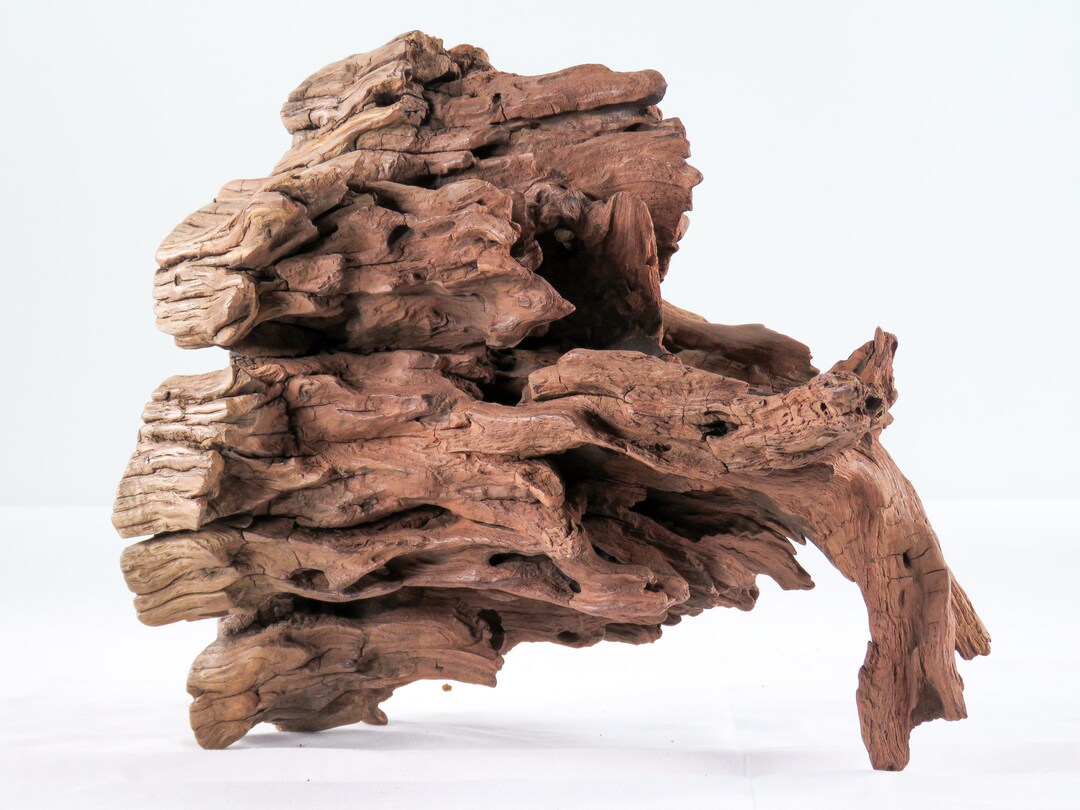 Manzanita Stump/root 10 Great Driftwood for Aquascaping Etsy