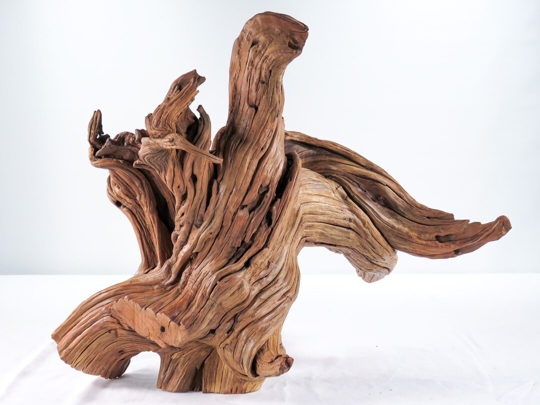 Manzanita Stump/root 16 Great Driftwood for Aquascaping Etsy